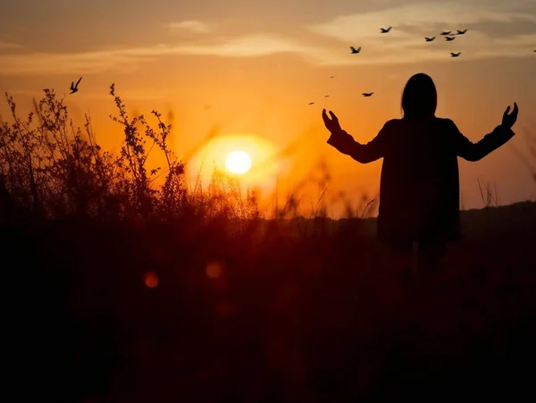 Силуэт Женщины Открытой Рукой Поле Травы Закате Благодарит Бога Поклоняясь — стоковое фото