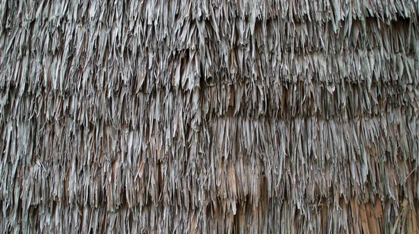 传统人从外面使用的茅草天花板或稻草屋顶纹理 — 图库照片