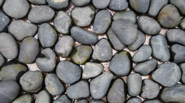 Gray Pebble Stone Texture Ground Park Garden Pathway Decoration — Stock Photo, Image