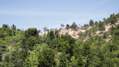 Yuvarlanan tepelerin manzarası, yeşil çayırlar, yeşil vahşi bitki örtüsü, ve mavi gökyüzü doğanın güzelliği..