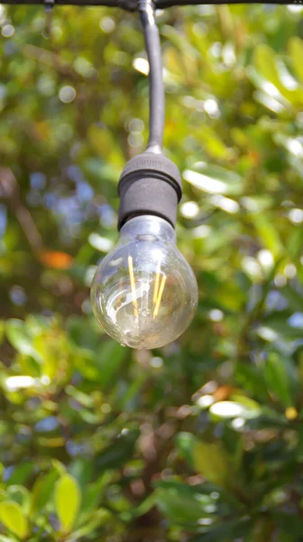 Perfektní Zavěšení Venkovní Žárovka Denním Světle Zeleným Pozadím — Stock fotografie