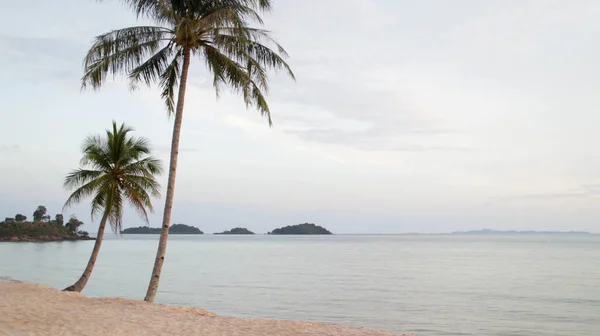 Prachtig Tropisch Paradijselijk Strand Met Wit Zand Kokospalmen Als Reisconcept — Stockfoto