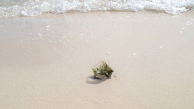 Kirli plaj plastik atıklarla doludur. Ev atıklarıyla çevre hasarı.