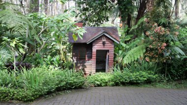 Güneşli bir günde serin bir bahçede yemyeşil bitkilerle çevrili büyüleyici minyatür ahşap bir ev.