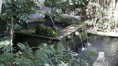 Yumuşak doğal ışık altında Bali 'de sakin bir bahçede yeşil yapraklarla çevrili hayvan heykelleri olan yosun kaplı taş çeşme.