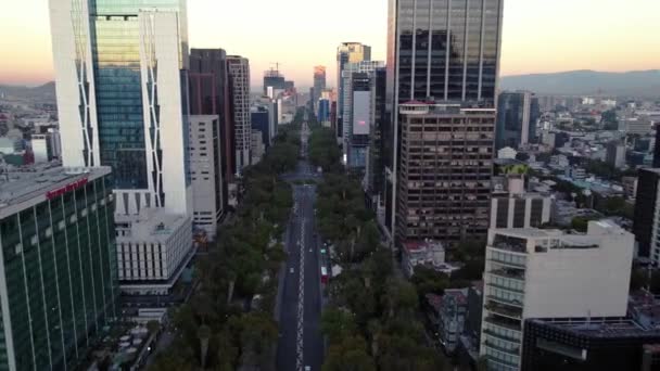 Vista Aerea Bello Atardecer Glorieta Palma Sobre Avenida Paseo Reforma — Video Stock