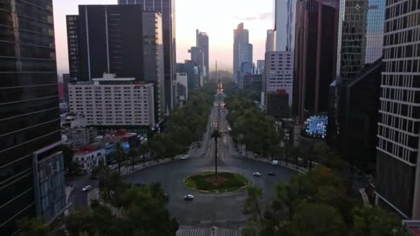 Vista Aerea Bello Amanecer Glorieta Palma Sobre Avenida Paseo Reforma — Stockvideo