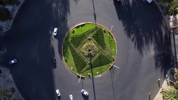Vista Con Drone Sobre Glorieta Palma Sobre Avenida Paseo Reforma — Video Stock