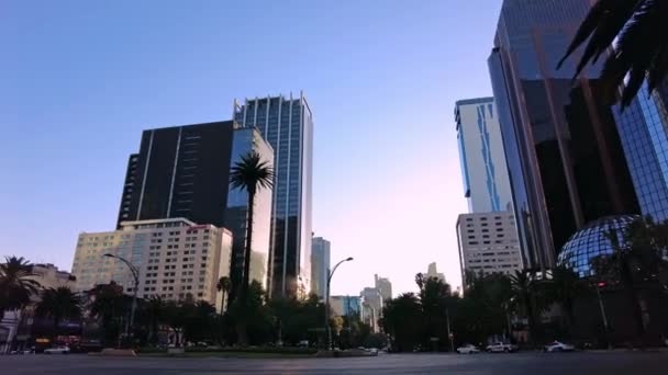 Hyperlapse Glorieta Palma Sobre Avenida Paseo Reforma Bello Amanecer Ciudad — Video Stock