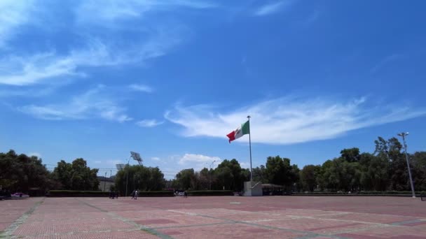 Meksika Bayrağını Sallayarak Meksika Üniversitesinde Nacional Otonom Mexico — Stok video
