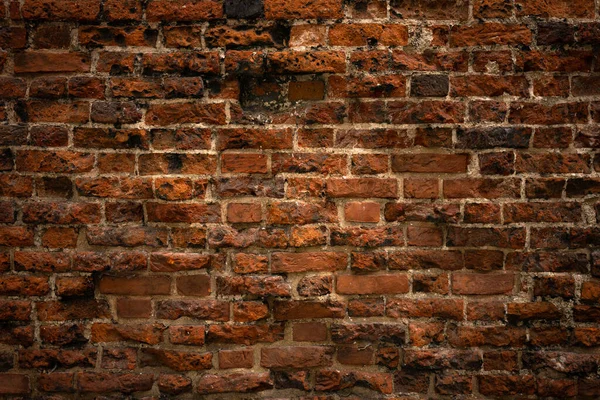 Цегляна Стіна Червоного Кольору Фон — стокове фото