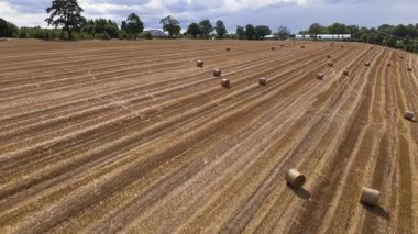 Altın tarlaya saman balyaları saman saçan hasat edilmiş bir tarım arazisinin insansız hava aracı görüntüsü. Kırsal alan tarım, tarım ve kırsal alanların özünü yansıtıyor. Gıda üretimi için mükemmel, doğal