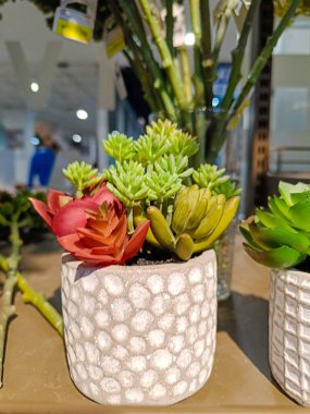 Beautiful artificial flowers and plants in the pots for indoor decoration