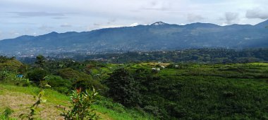 Beautiful nature panorama. Trees and blue clear sky