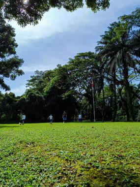 Grass field view with trees around.
