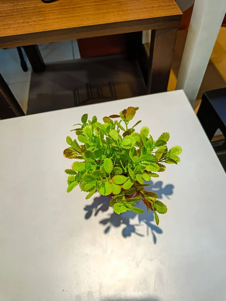 Beautiful artificial flowers and plants in the pots for indoor decoration