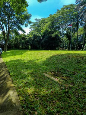 Grass field view with trees around.