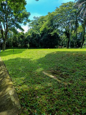 Grass field view with trees around.