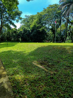 Grass field view with trees around.