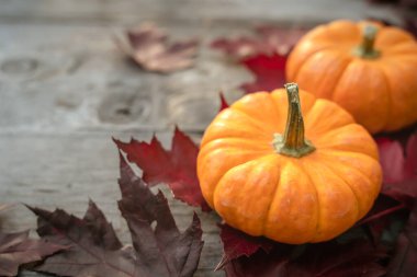 Balkabaklarından, çam ağacından ve ahşap arka planda yapraklardan yapılan şenlikli sonbahar dekoru. Şükran Günü ya da Cadılar Bayramı kavramı. Kopya alanı olan düz sonbahar kompozisyonu.