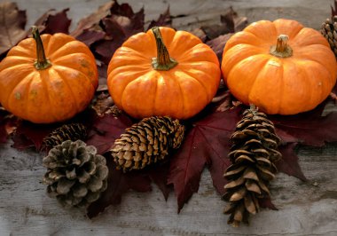 Balkabaklarından, çam ağacından ve ahşap arka planda yapraklardan yapılan şenlikli sonbahar dekoru. Şükran Günü ya da Cadılar Bayramı kavramı. Kopya alanı olan düz sonbahar kompozisyonu.