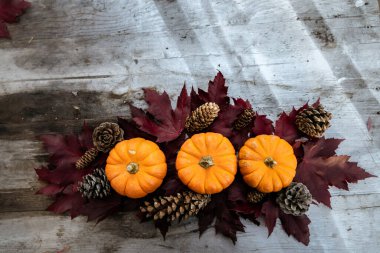 Balkabaklarından, çam ağacından ve ahşap arka planda yapraklardan yapılan şenlikli sonbahar dekoru. Şükran Günü ya da Cadılar Bayramı kavramı. Kopya alanı olan düz sonbahar kompozisyonu.