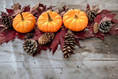 Balkabaklarından, çam ağacından ve ahşap arka planda yapraklardan yapılan şenlikli sonbahar dekoru. Şükran Günü ya da Cadılar Bayramı kavramı. Kopya alanı olan düz sonbahar kompozisyonu.