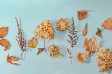 Sonbahar veya Kış kompozisyonu. Kurumuş sonbahar yaprakları ve tarçın. Düz yatış, üst görünüm.