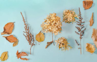 Sonbahar veya Kış kompozisyonu. Kurumuş sonbahar yaprakları ve tarçın. Düz yatış, üst görünüm.