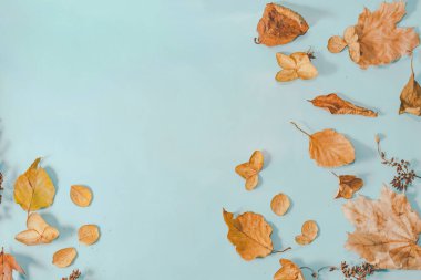 Sonbahar veya Kış kompozisyonu. Kurumuş sonbahar yaprakları ve tarçın. Düz yatış, üst görünüm.