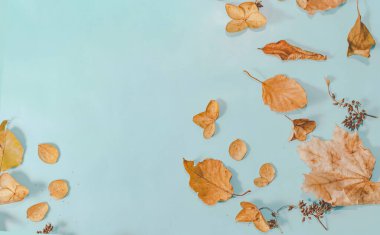 Sonbahar veya Kış kompozisyonu. Kurumuş sonbahar yaprakları ve tarçın. Düz yatış, üst görünüm.