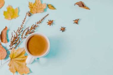 Noel kompozisyonu. Bir fincan kahve, pembe arka planda eşarp. Noel, kış konsepti. Düz konum, üst görünüm, kopyalama alanı