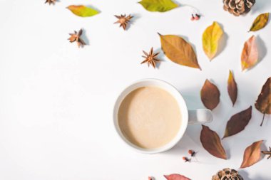 Sonbahar veya Kış kompozisyonu. Kurumuş sonbahar yaprakları ve tarçın. Düz yatış, üst görünüm.