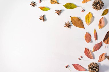 Sonbahar veya Kış kompozisyonu. Kurumuş sonbahar yaprakları ve tarçın. Düz yatış, üst görünüm.