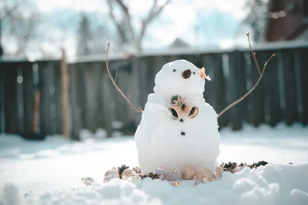 许多雪人站在冬日的圣诞庭院里 冬日的背景 白雪公主 有干花和松树 节日快乐和庆祝 — 图库照片