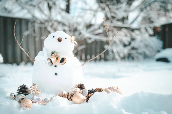 许多雪人站在冬日的圣诞庭院里 冬日的背景 白雪公主 有干花和松树 节日快乐和庆祝 — 图库照片