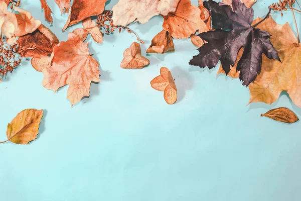 秋季或冬季作曲 秋天干枯的叶子 平躺在地上 俯瞰四周 免版税图库图片