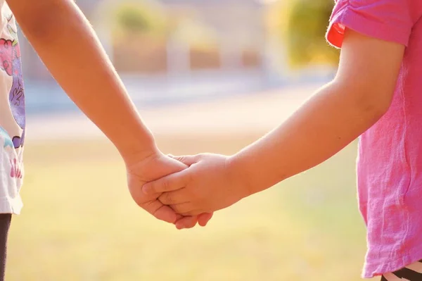 stock image children's hands are holding a child plant