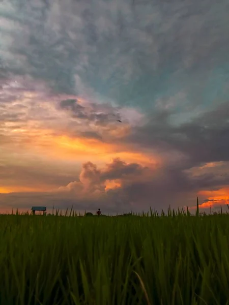 Farming Sunset Orange Cloud Blue Sky — Stock Photo, Image