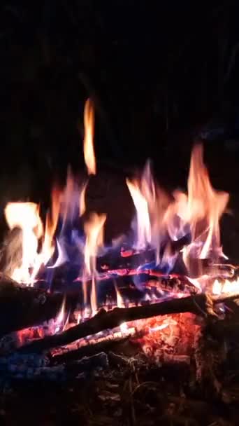 Şöminede Yangın Yangın Görüntüleri — Stok video