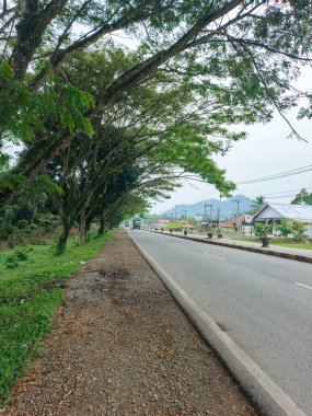 Gökyüzü ve yapraklar duvar kağıdı