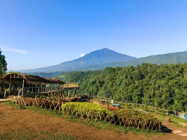 Panorama baru Bukittinggi Lanscape view nature with mountain with blue sky from the top of the hill clipart