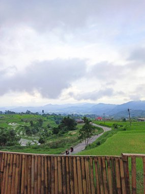 Dünyanın en güzel yeşil pirinç tarlaları Nagari Tuo Pariangan, Endonezya 'da ölümsüzleştirildi.