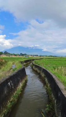 Pirinç tarlaları için nehir sulamasına bak