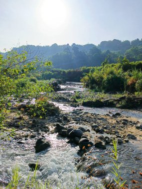 Kayalık nehir ve mavi gökyüzü uçurumlarıyla gün doğumu doğal bir arka plan olarak.