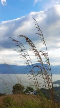 Batı Sumatra, Aua Sarumpun zirvesinden Singkarak Gölü 'nün üzerinde sallanan çimlerin videosu