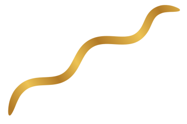 Lüks kurdele boş altın element, altın kurdele element tasarım şablonu şeffaf png