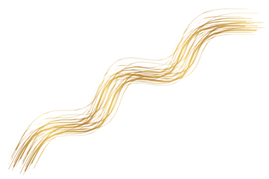 Fırça altın lüks çizgiler elementi