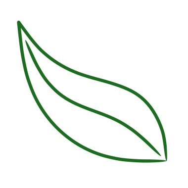 yeşil yaprak çizgisi sanat öğesi tasarımı png dosyası şeffaf arkaplan