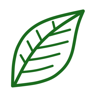 yeşil yaprak çizgisi sanat öğesi tasarımı png dosyası şeffaf arkaplan